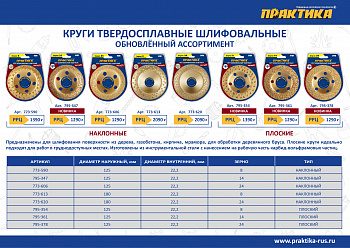 Чашка твёрдосплавная ПРАКТИКА 125 х 22 мм плоская, зерно #  8 крупное 795-354