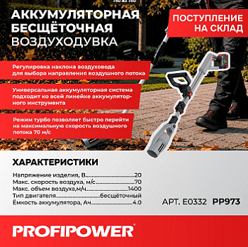 Воздуходувка акк Profipower PP973 со штангой, 20В, Li-ion-1шт, 4.0Ач, З/У, в коробке  E0332