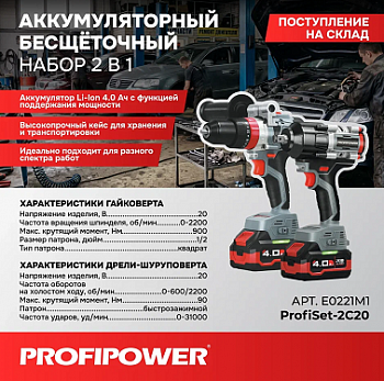 Набор инструментов акк Profipower (2 в1) ProfiSet-2С20 20В, Li-ion-2шт, 4Ач, Адаптер HEX, набор головок, З/У, кейс (E0186, E0087)  E0221M1  (5)