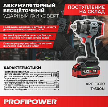 Гайковерт акк бесщет. уд. Profipower T-600N 20В,Li-ion-1шт, 4.0Ач, 600Нм, ударные головки,адаптер для бит, З/У, в кейсе  E0310  (5)