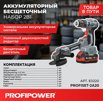 Набор инструментов акк Profipower (2 в 1) ProfiSet 2A20 Li-ion-2шт 20В, 4.0Ач, З/У, кейс, (E0080, T0056)  E0220M1  (5)