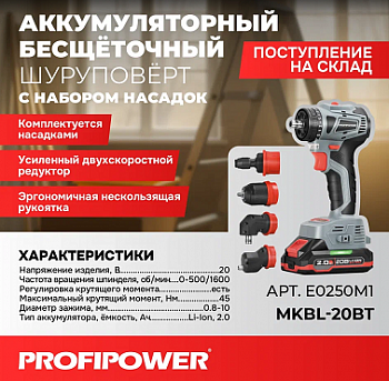 Шуруповерт акк бесщет Profipower MKBL-20BT 20В, 45Нм, Li-ion-2шт, 2.0Ач, 0,8-10мм, бита, З/У,в кейсе  E0250M1  (5)